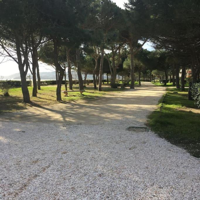 F3 Classe Meuble Tourisme "Gites De France" A 80 Metres De La Plage Аржель-сюр-Мер Экстерьер фото